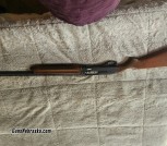 Remington Sp 10 shot gun